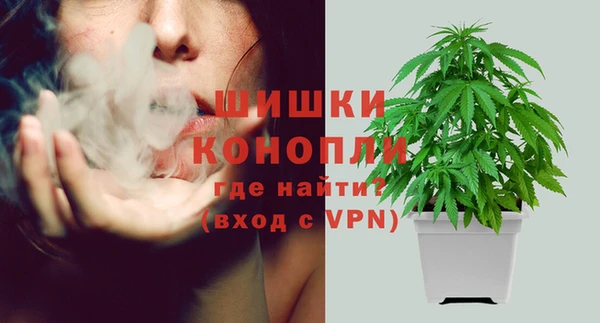 соль курить ск Липки