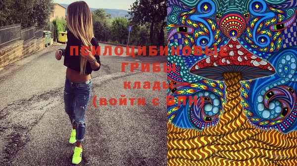 соль курить ск Липки