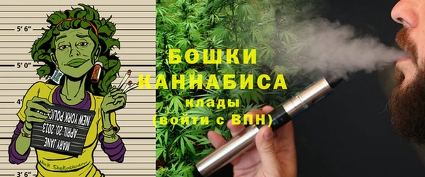 дмт Лабытнанги