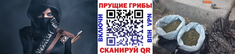 Галлюциногенные грибы мухоморы  Суздаль 
